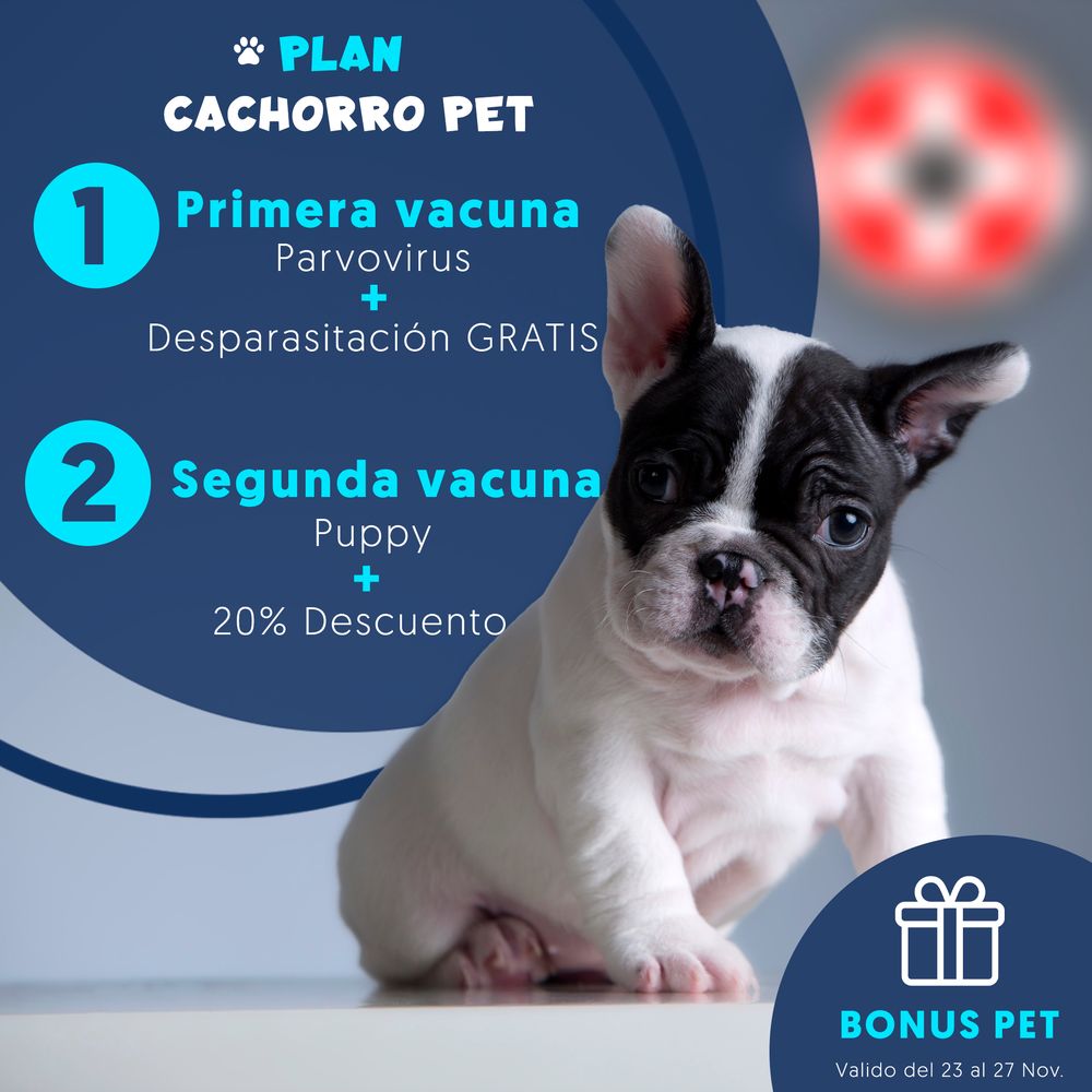 Promocional Plan Cachorro Pet