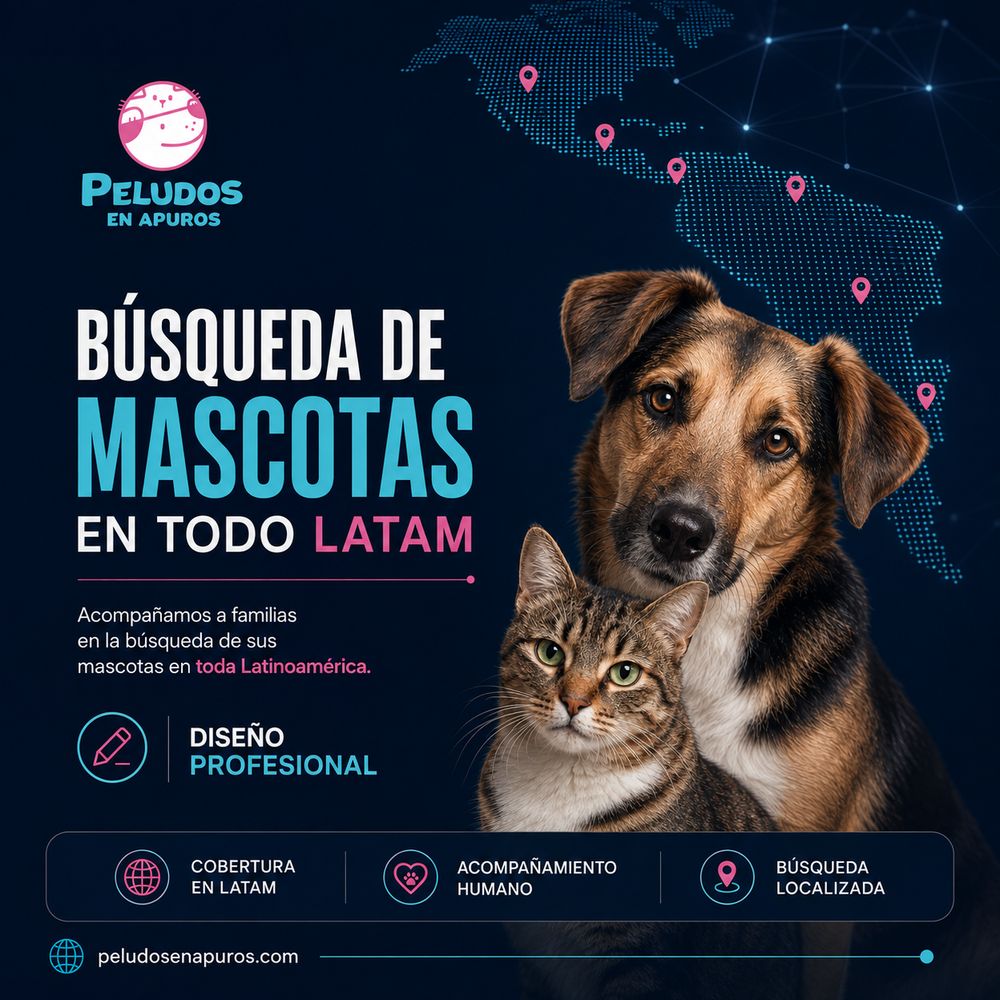Campaña de búsqueda de mascotas para Peludos en Apuros